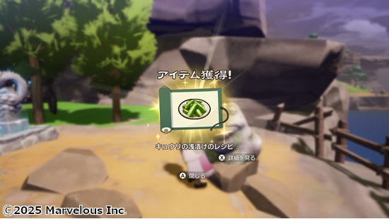 龍の国ルーンファクトリーのフィールドワーク